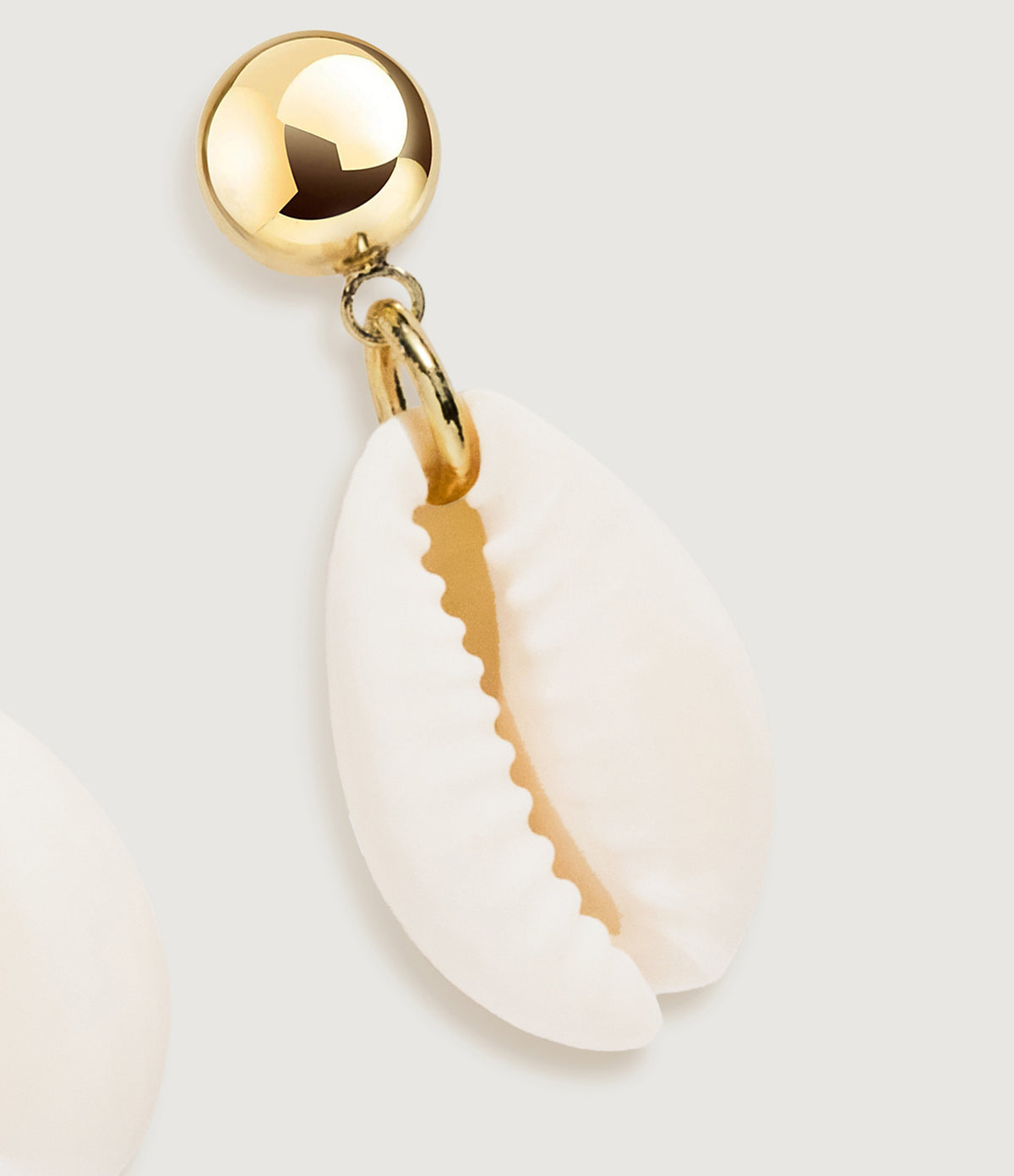 Cowrie Shell Stud Earrings